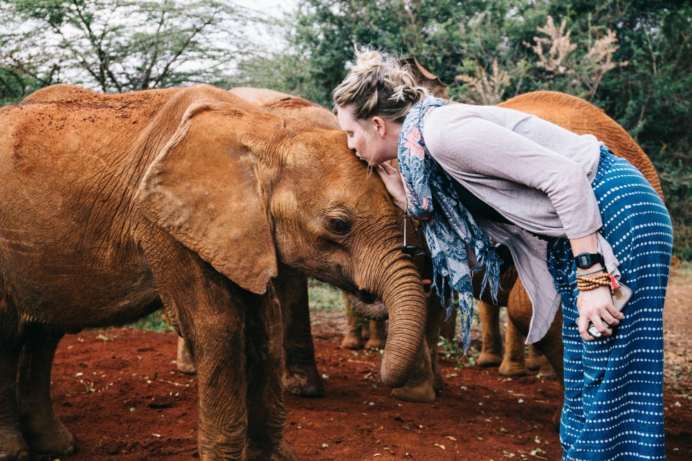 Tsavo National Park elephant with tourist