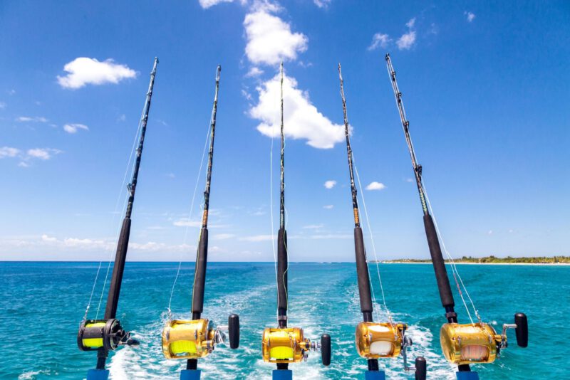 Deep Sea Fishing (22 Ft Boat) – Half Day