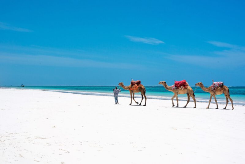 Diani Beach