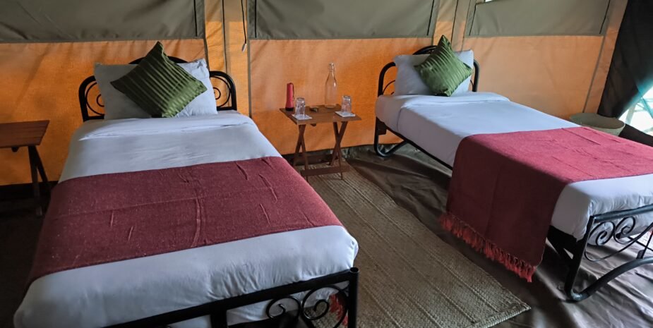 rooms at Julia's River Camp