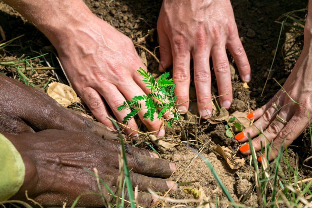 amani mara in sustainability