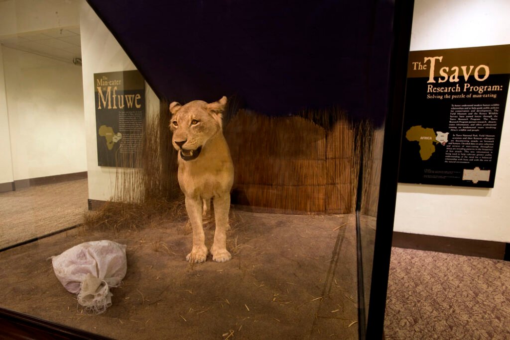 Man Eaters Tsavo