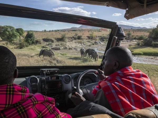 cottars 2
